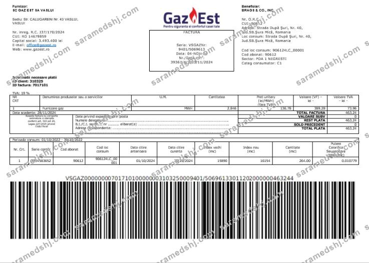 Romania Gaz Est business utility bill Word and PDF template